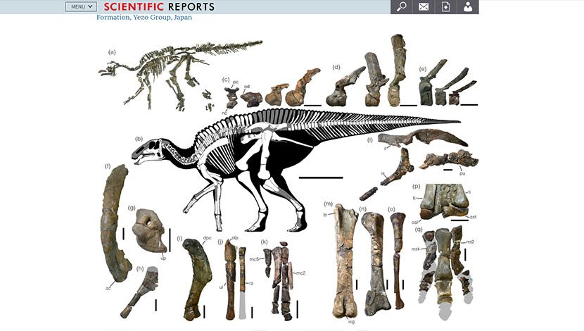 dinosaurus dinosaurus