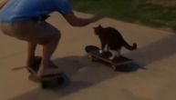 Maca zvezda kraja, dosadu prekraćuje vožnjom skejta (VIDEO)