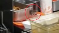 Hvatali miša u prodavnici brze hrane, pa ga slučajno ispržili s pomfritom u vrelom ulju (VIDEO)