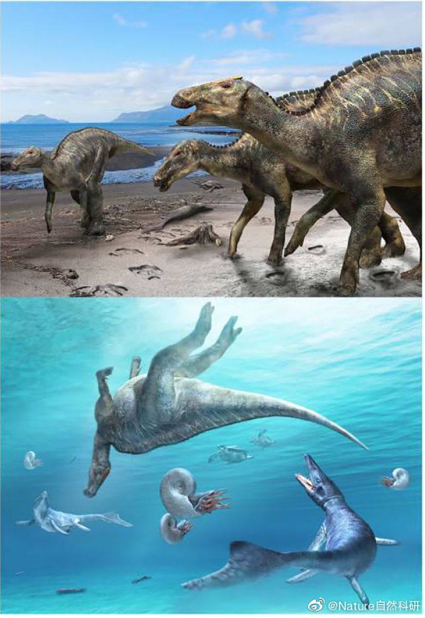 dinosaurus dinosaurus