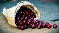 Zaboravite maline, Srbija je postala najveći izvoznik u svetu jednog drugog voća