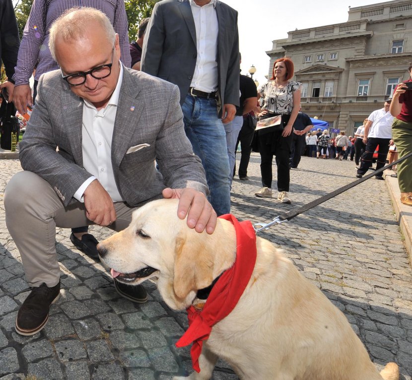 Vesić, dan komunalne delatnosti Vesić, dan komunalne delatnosti