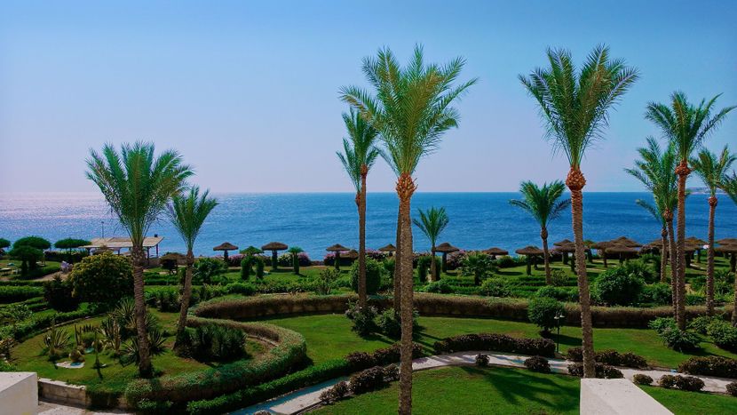 Egipat all inclusive more plaža hotel Egipat all inclusive more plaža hotel