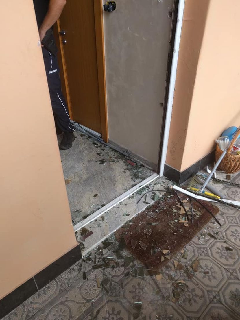 iseljenje porodice ninic novi sad iseljenje porodice ninic novi sad
