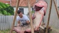 Neven je ulovio grdosiju u jezeru i oborio rekord: Som težak 103 kilograma i dugačak 252 cm (FOTO)