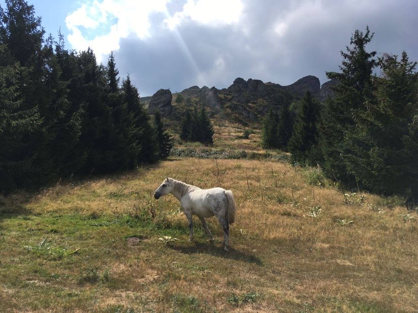 Stara planina Stara planina