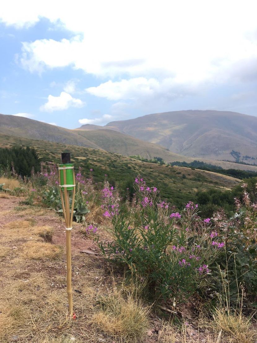 Stara planina Stara planina
