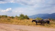 Nakon tri godine borbe meštana: Neće se graditi mini-hidroelektrane na Staroj planini