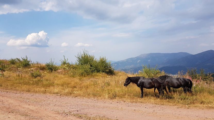 Stara planina Stara planina