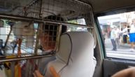 Ludi taksi u Donguanu: Vozač u kavezu, iznad njega toalet papir! (VIDEO)