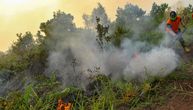 Izazvao požar kod Bora koji je zahvatio 40ha šuma i livada, kao i dve brvnare: Policajci ga uhvatili