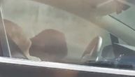Prošao pored "tesle" na auto-putu, u kojem su vozač i suvozač spavali: Auto išao 100 na sat (VIDEO)