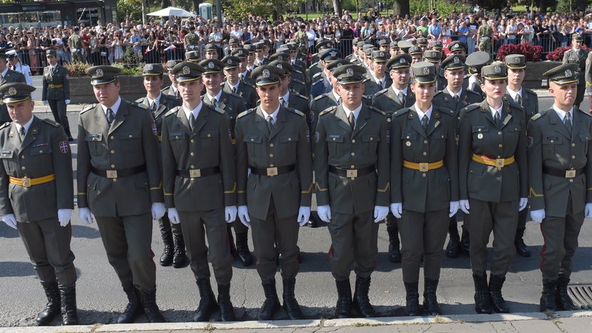 Vojska Srbije, Narodna skupština Vojska Srbije, Narodna skupština