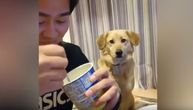 I pas bi malo jogurta, ali se stidi da traži: Njegova reakcija će vas slatko nasmejati (VIDEO)