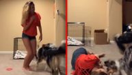 Devojka se pravila da je mrtva samo da bi videla kako reaguju njeni psi