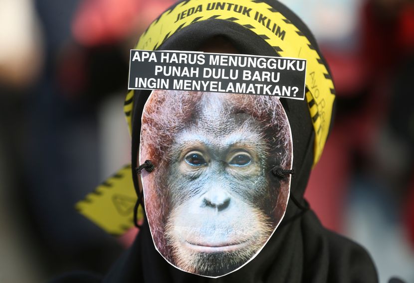 Klimatski protest, Džakarta Indonezija Klimatski protest, Džakarta Indonezija