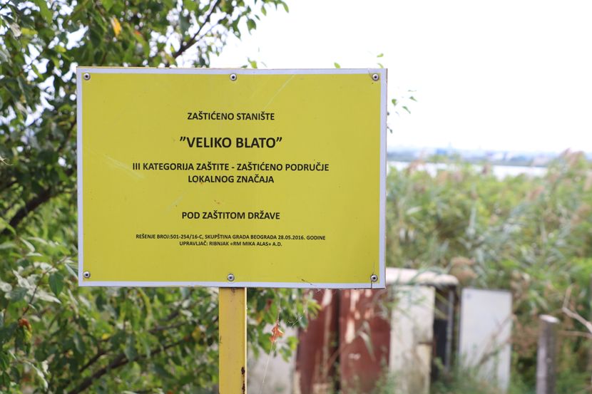 Veliko Blato Veliko Blato