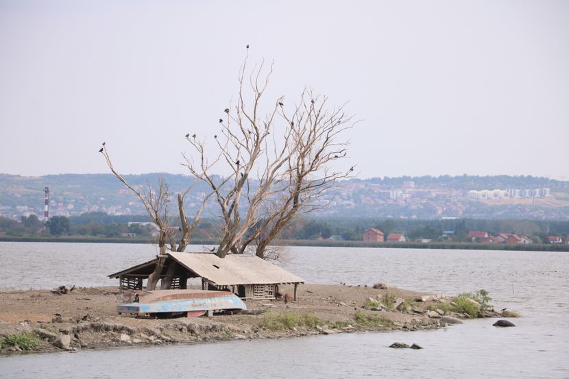 Veliko Blato Veliko Blato