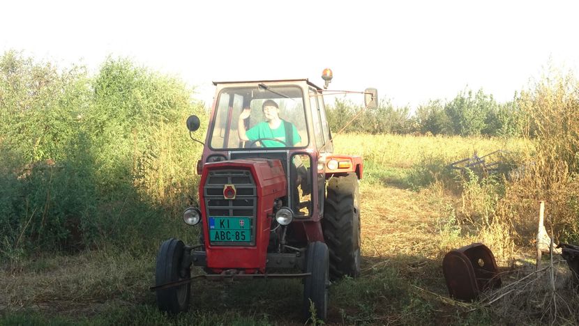 Maja Tomaš traktor vozi od sedme godine Maja Tomaš traktor vozi od sedme godine