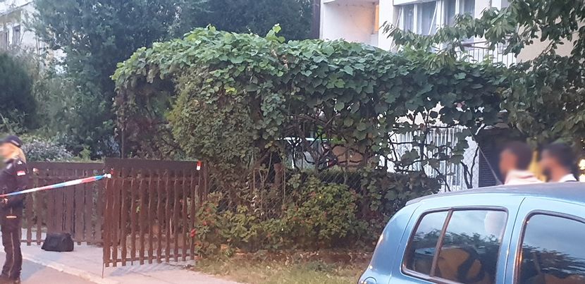 Hronika Kotez Hronika Kotez