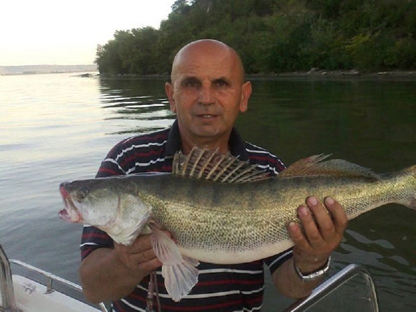 Pomor ribe, Srebrno jezero, ribokradice