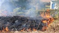 Goreli malinjaci, livade, lokalno groblje: Šumski požari opet na Zlatiboru i u Bajinoj Bašti