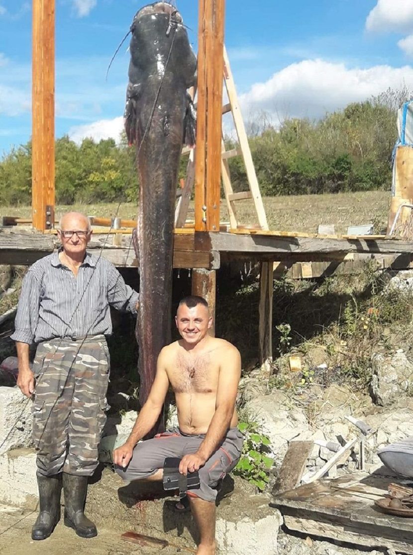 Som, Gružansko jezero Som, Gružansko jezero
