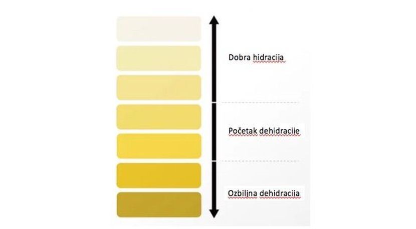 infografik infografik