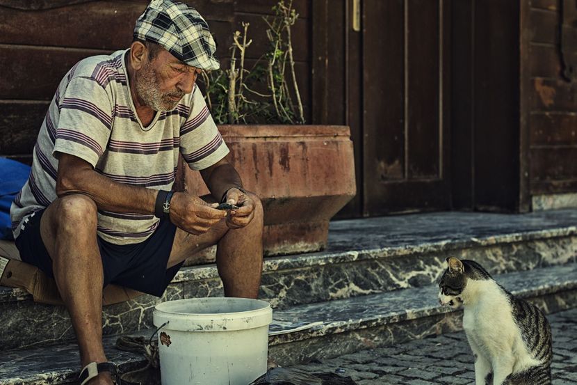 mačke Istanbul mačke Istanbul