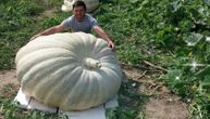 Krunoslav iz zemlje iščupao diva od 440 kilograma: Visok je preko 4,5 metra