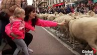 Jedna evropska metropola odobrila je pastirima neverovatnu stvar: Ovce provode kroz centar grada