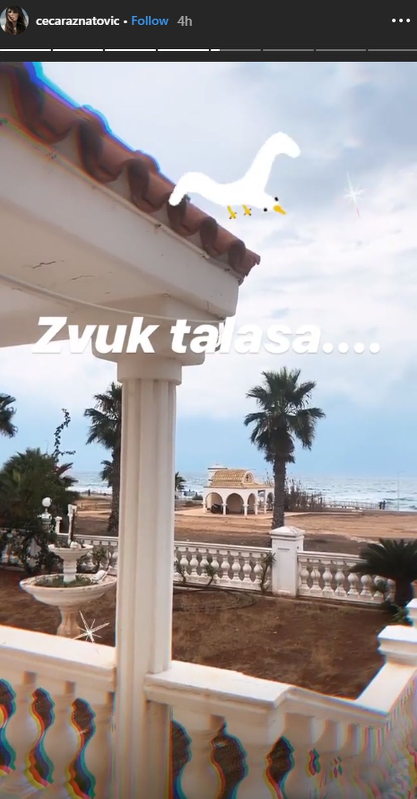 Ceca Ražnatović Ceca Ražnatović