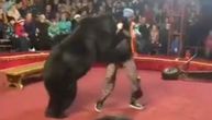 Jezive scene u ruskom cirkusu: Medved napao trenera, oborio ga i grizao. Publika sve gledala