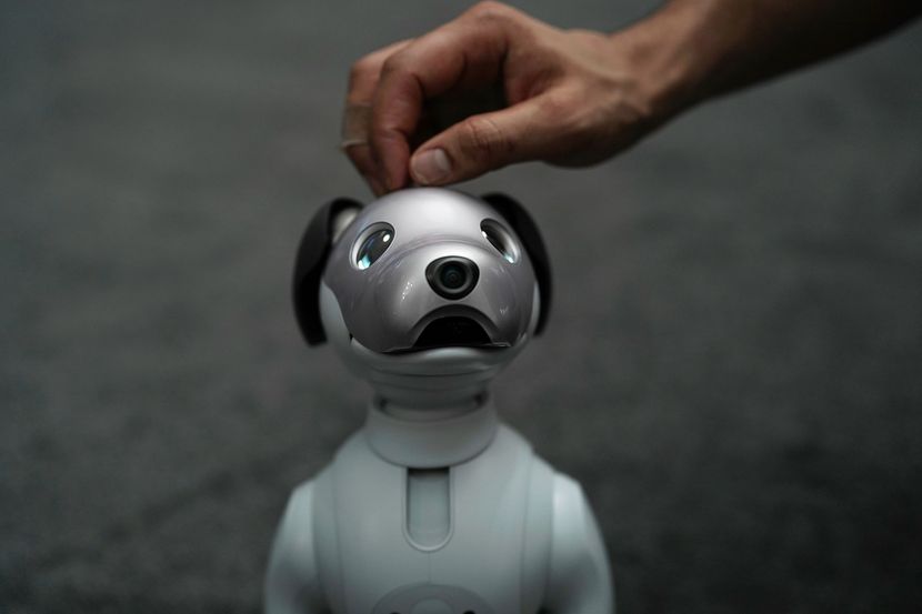 Soni, robot pas Aibo Soni, robot pas Aibo