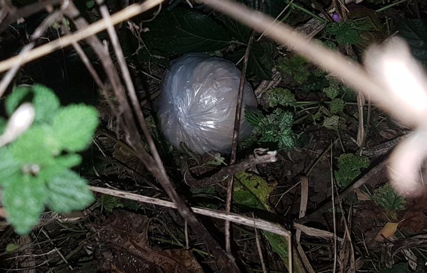 MUP SAOPSTENJE DROGA HAPSENJE BEOGRAD MUP SAOPSTENJE DROGA HAPSENJE BEOGRAD