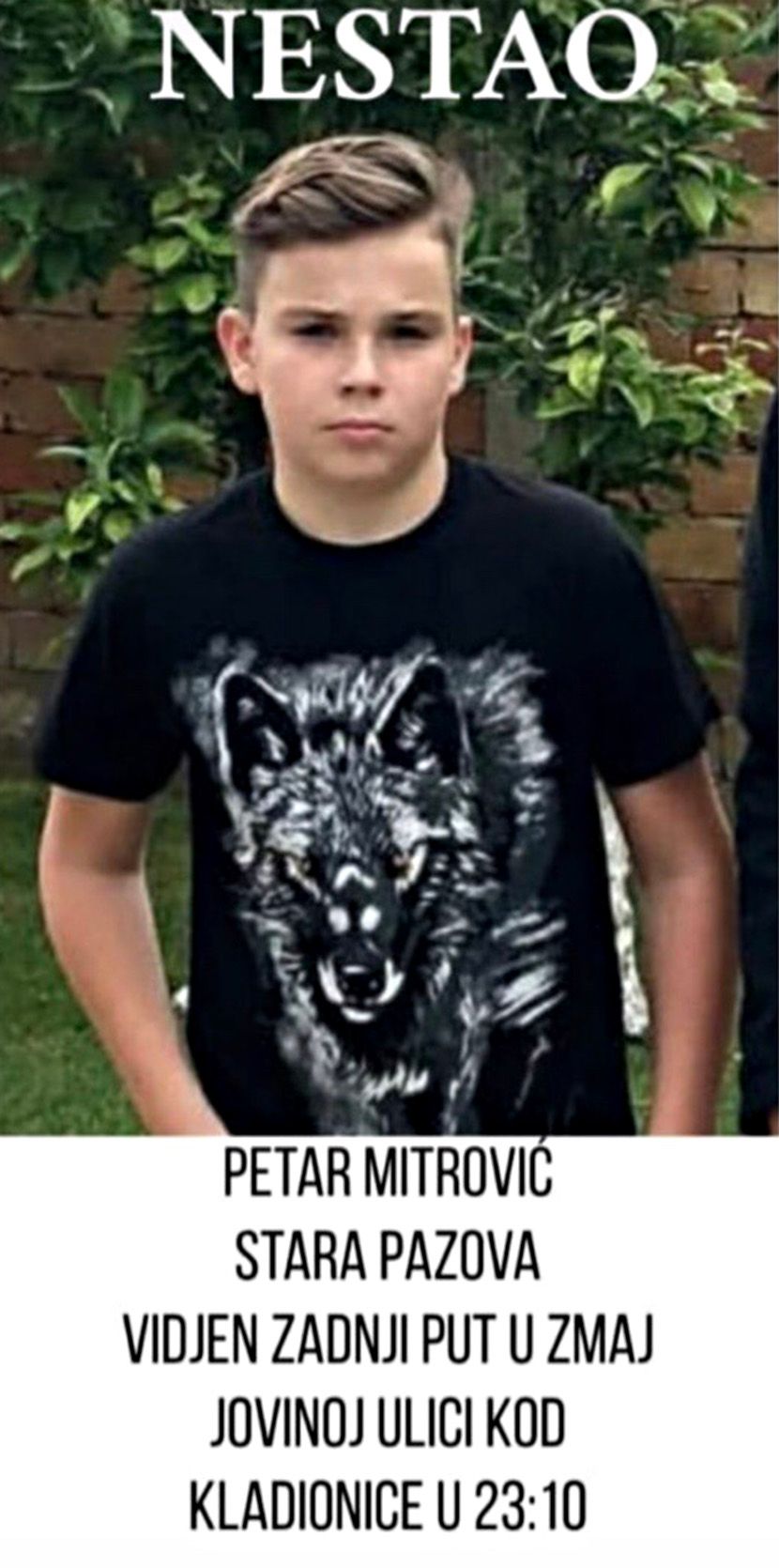 Nestao, Petar Mitrović Nestao, Petar Mitrović