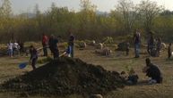 Beogradsku deponiju pretvorili u oazu: Iz ljubavi prema svom gradu zasadili preko 1.000 stabala