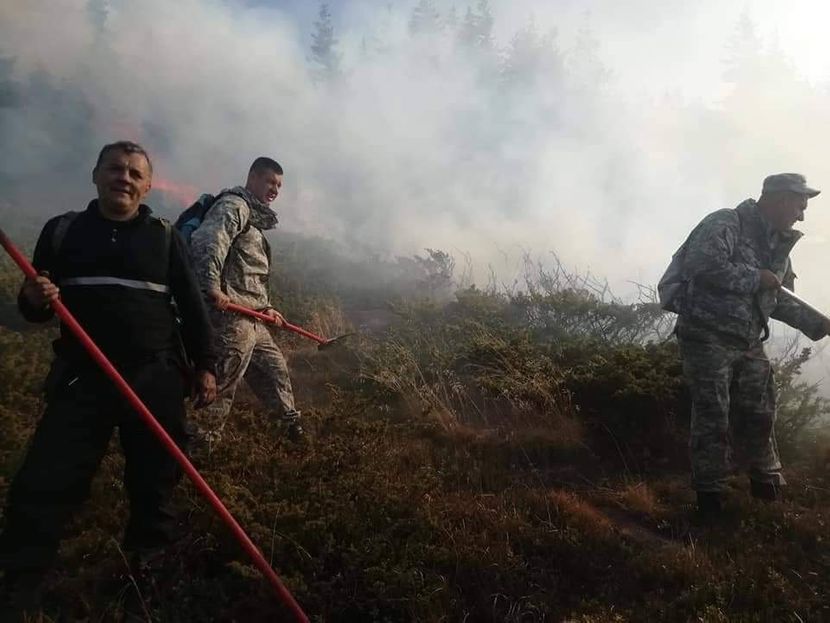 Požar na Staroj planini Požar na Staroj planini
