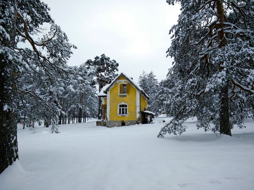 Zlatibor Zlatibor