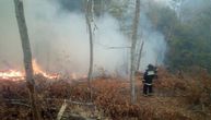 Požari buktali na 6 lokacija u Boru i okolini: Uzrok spoj na elektro mreži izazvan jakim vetrom