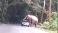 Vozač jedva izvukao živu glavu kada je slon skočio na njegov auto, a onda uradio nešto neočekivano
