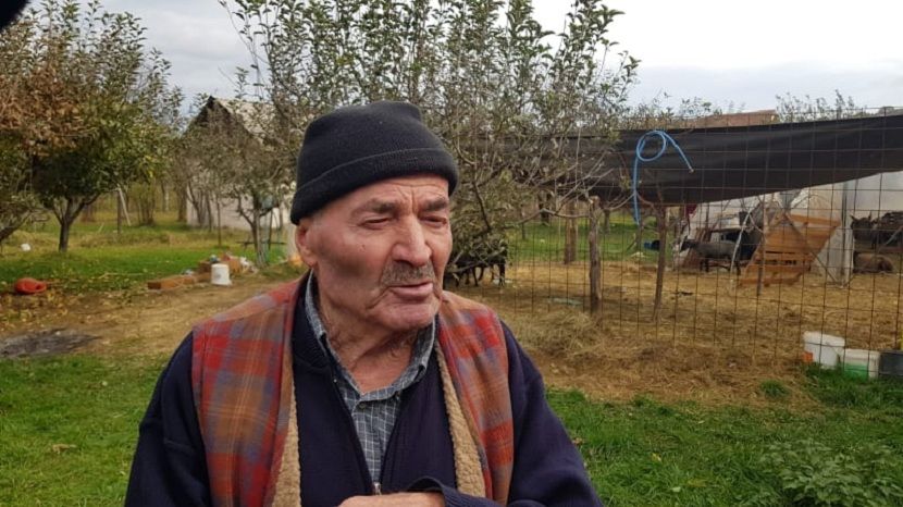 Ovce, Novi Pazar, Halko Papić Ovce, Novi Pazar, Halko Papić