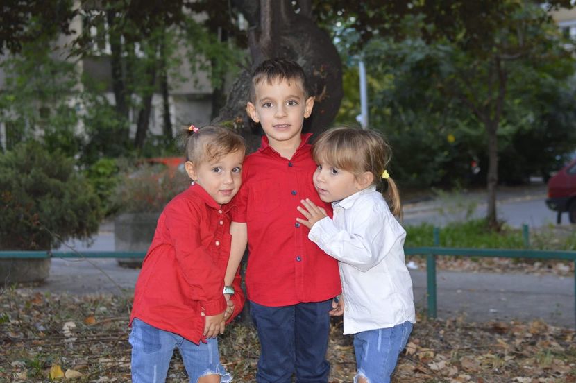 Mitar Palikuća Mitar Palikuća
