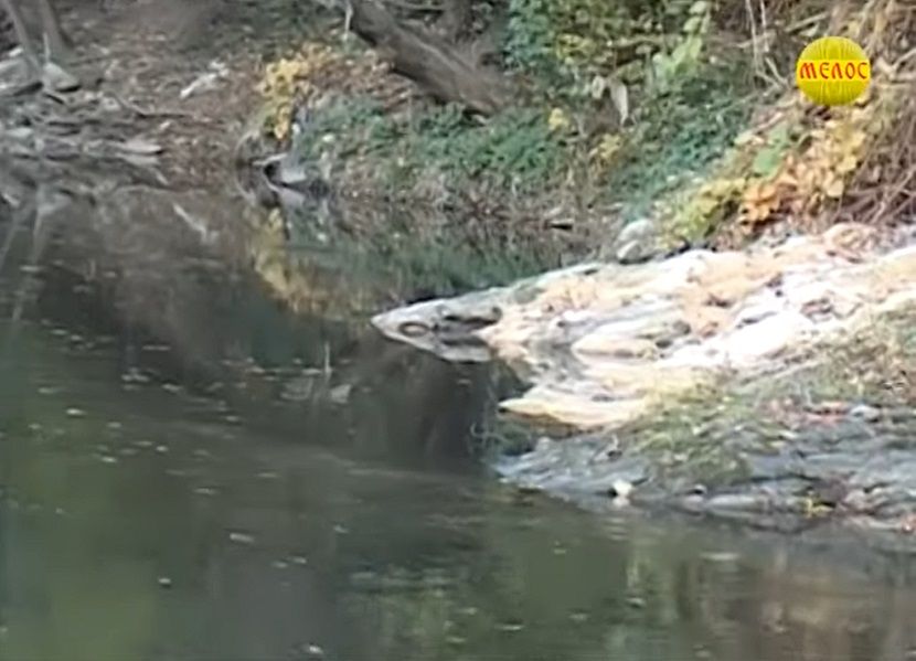 izlivanje mazuta, zagađenje Zapadne Morave izlivanje mazuta, zagađenje Zapadne Morave
