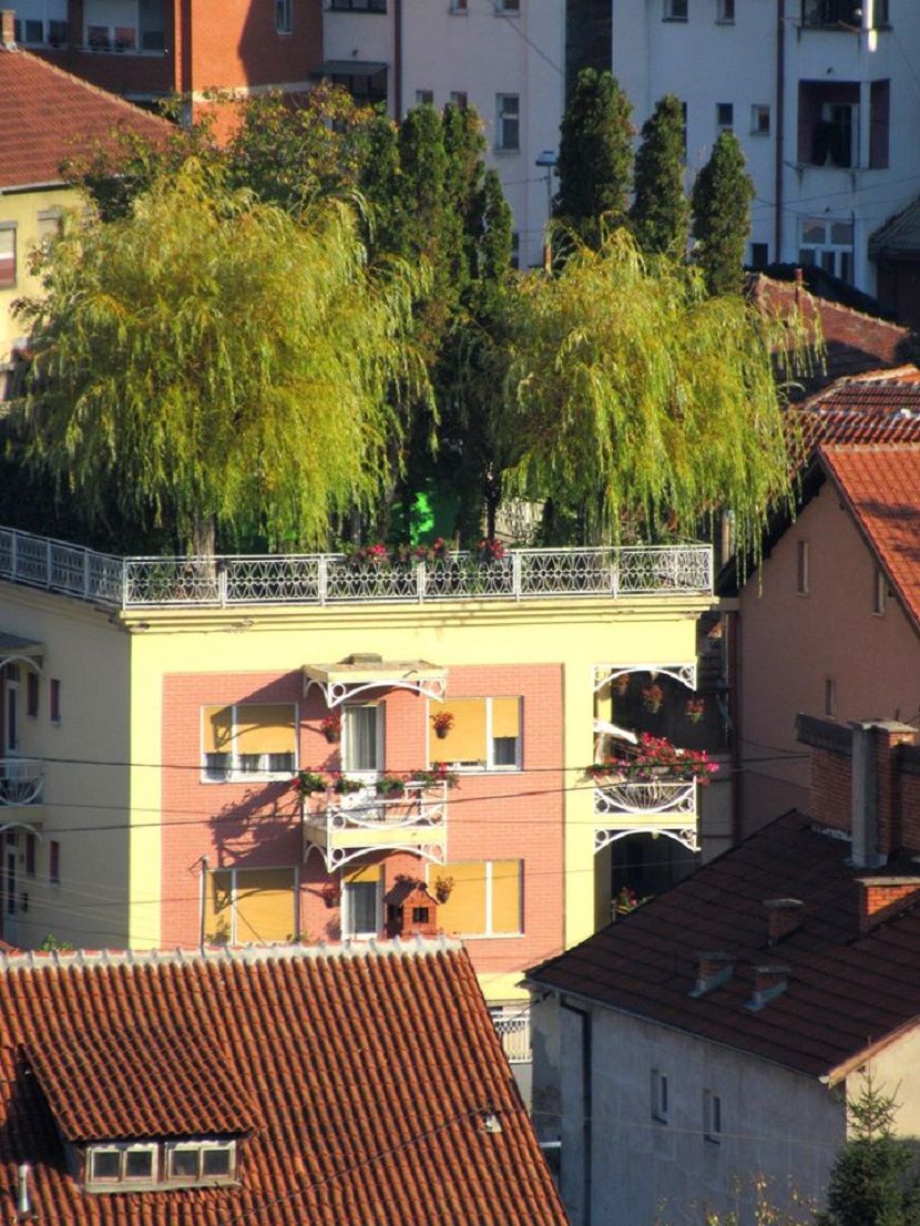 Kuća na vrhu zgrade, Pirot Kuća na vrhu zgrade, Pirot