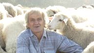Ovce voli više nego ljude: Ljubivoje od tri pramenke stvorio ogromno stado