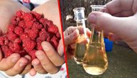 Are plum brandy's days numbered? In Sumadija, traditional Serbian plum is replaced with raspberry