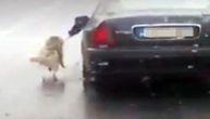 Vozač iz Sarajeva vezao psa za automobil i vukao ga po putu, pa pokušao objasniti zašto je to uradio