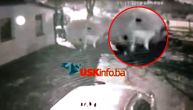 Uznemirujući snimak: Muškarac silovao psa u dvorištu porodične kuće u Bihaću, sumnjaju da je migrant