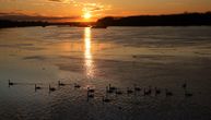 Prizor koji vraća harmoniju Novom Sadu, čak i kad je užurbani petak: Jato divnih labudova na Dunavu